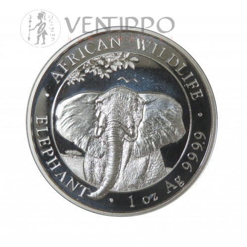 Somalia, 100 Shillings Plata ( 1 OZ 999 mls. ) Elefantes 2021, BU.