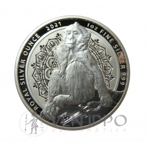 Gibraltar, 2 Pounds plata ( 1 OZ.  999 mls. ), Macaco 2021, BU.
