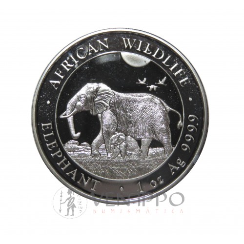 Somalia, 100 Shillings Plata ( 1 OZ. 999 mls.) Elefantes 2022, BU.