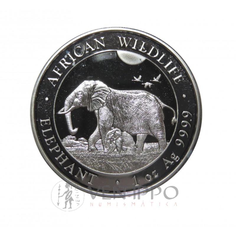 Somalia, 100 Shillings Plata ( 1 OZ. 999 mls.) Elefantes 2022, BU.