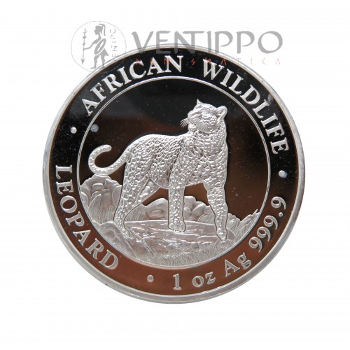 Somalia, 100 Shillings Plata (1 Oz. ley 999 mls) Leopardo 2022, BU
