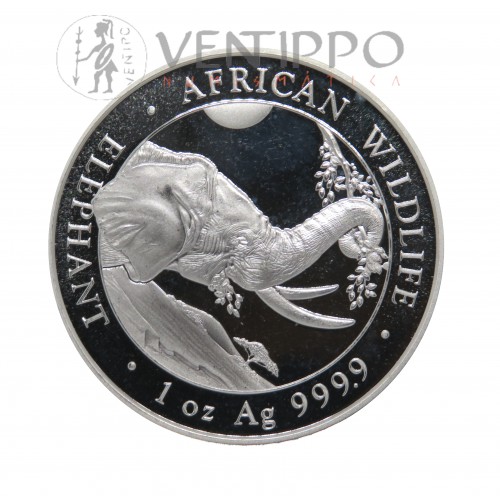 Somalia, 100 Shillings Plata ( 1 OZ 999 mls. ) Elefantes 2023, BU.
