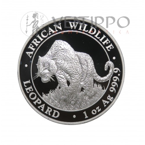 Somalia, 100 Shillings Plata ( 1 OZ 999 mls ) Leopardo 2023, BU.