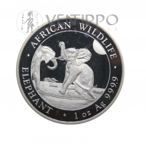 Somalia, 100 Shillings Plata ( 1 OZ ley 999 mls. ) Elefantes 2024 BU