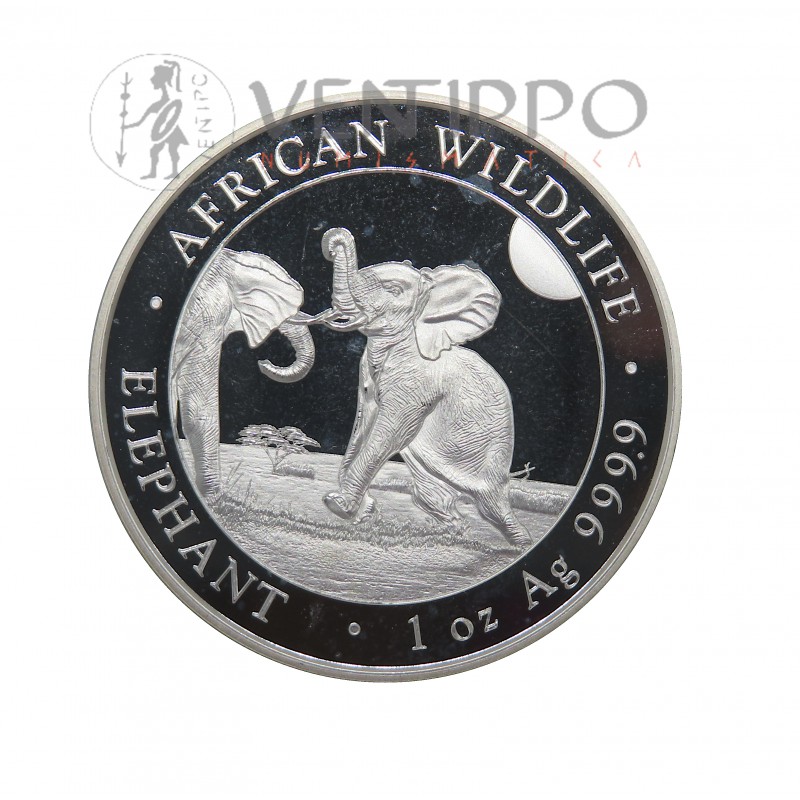 Somalia, 100 Shillings Plata ( 1 OZ ley 999 mls. ) Elefantes 2024 BU