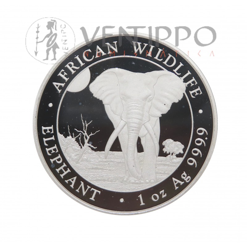 Somalia, 1000 Shillings Plata ( 1 OZ  ley 999 mls ) Elefantes 2025, BU.