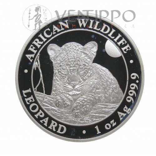 Somalia, 100 Shilling Plata ( 1 OZ 999 mls ) Leopardo 2025, BU