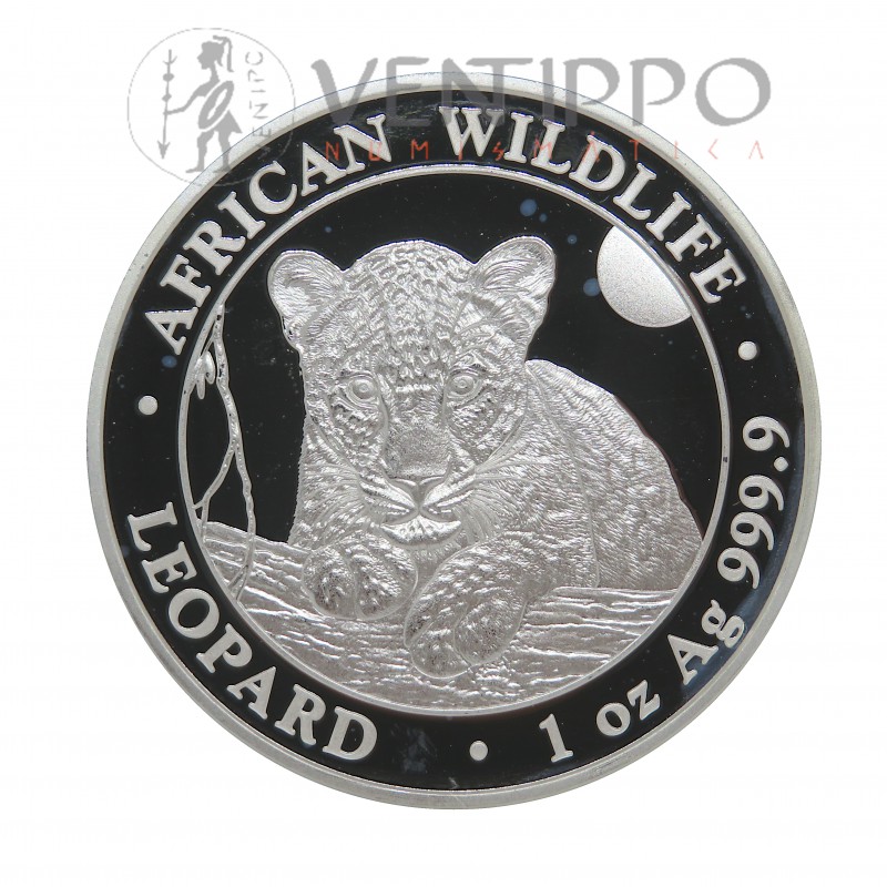Somalia, 100 Shilling Plata ( 1 OZ 999 mls ) Leopardo 2025, BU