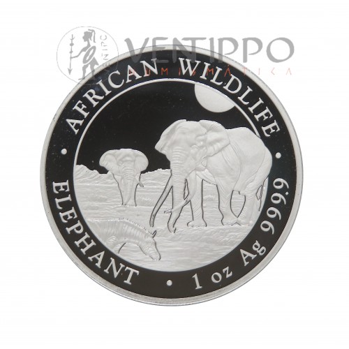 Somalia, 100 Shillings Plata ( 1 OZ ley 999 mls ) Elefantes 2026, BU
