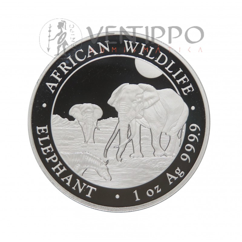 Somalia, 100 Shillings Plata ( 1 OZ ley 999 mls ) Elefantes 2026, BU
