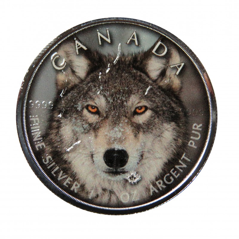 Canadá, 5 $ Plata ( 1 OZ. 9999 mls. ) Canadá's Wildlife coloreada, Lobo gris.