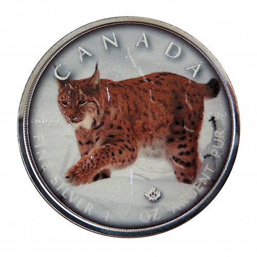 Canadá, 5 $ Plata ( 1 OZ. 9999 mls. ), Maple serie "On the Trails of Wildlife: Lince" 2019.