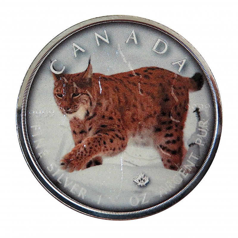 Canadá, 5 $ Plata ( 1 OZ. 9999 mls. ), Maple serie "On the Trails of Wildlife: Lince" 2019.