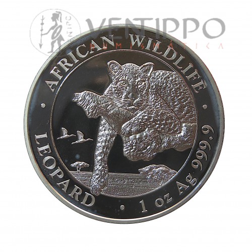 Somalia, 100 Shillings Plata ( 1 OZ 999 mls .) Leopardo 2020.