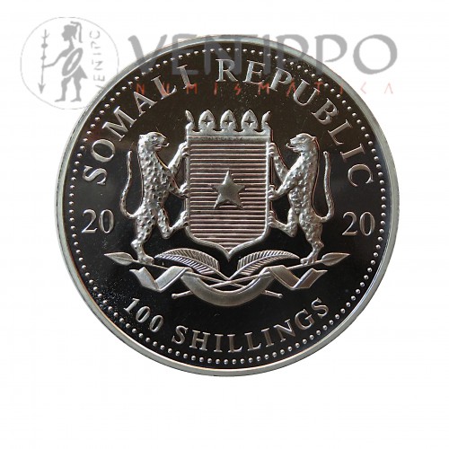 Somalia, 100 Shillings Plata ( 1 OZ 999 mls .) Leopardo 2020.