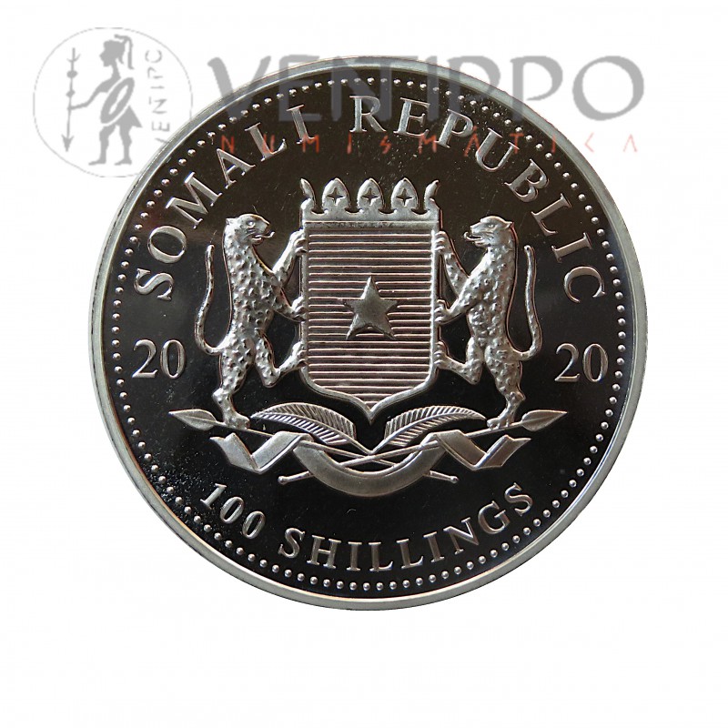 Somalia, 100 Shillings Plata ( 1 OZ 999 mls .) Leopardo 2020.